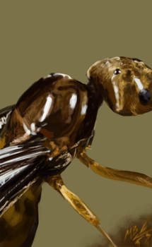 Philogenetics: Yellow Ant