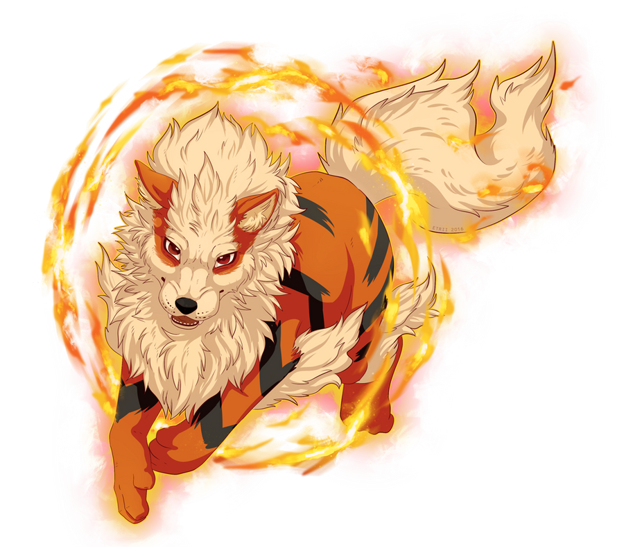 Arcanine used Flame Charge