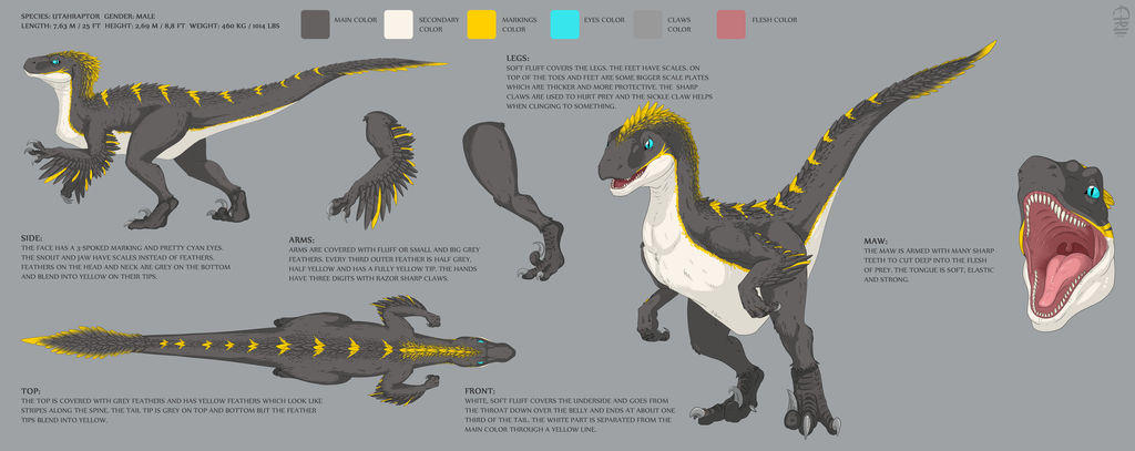Miriizah Raptor Ref-sheet by etrii on DeviantArt