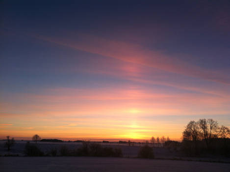 Swedish Sunrise