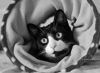 Won't you play with me anymore? by Enalla