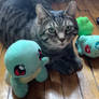 Dorian Grey Cat and the Kanto starter Pokemon