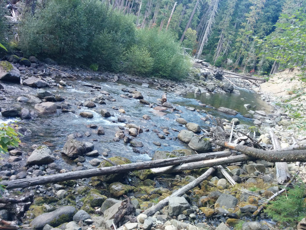 Life is a river, its bumpy but continues to flow by Evogelion on DeviantArt