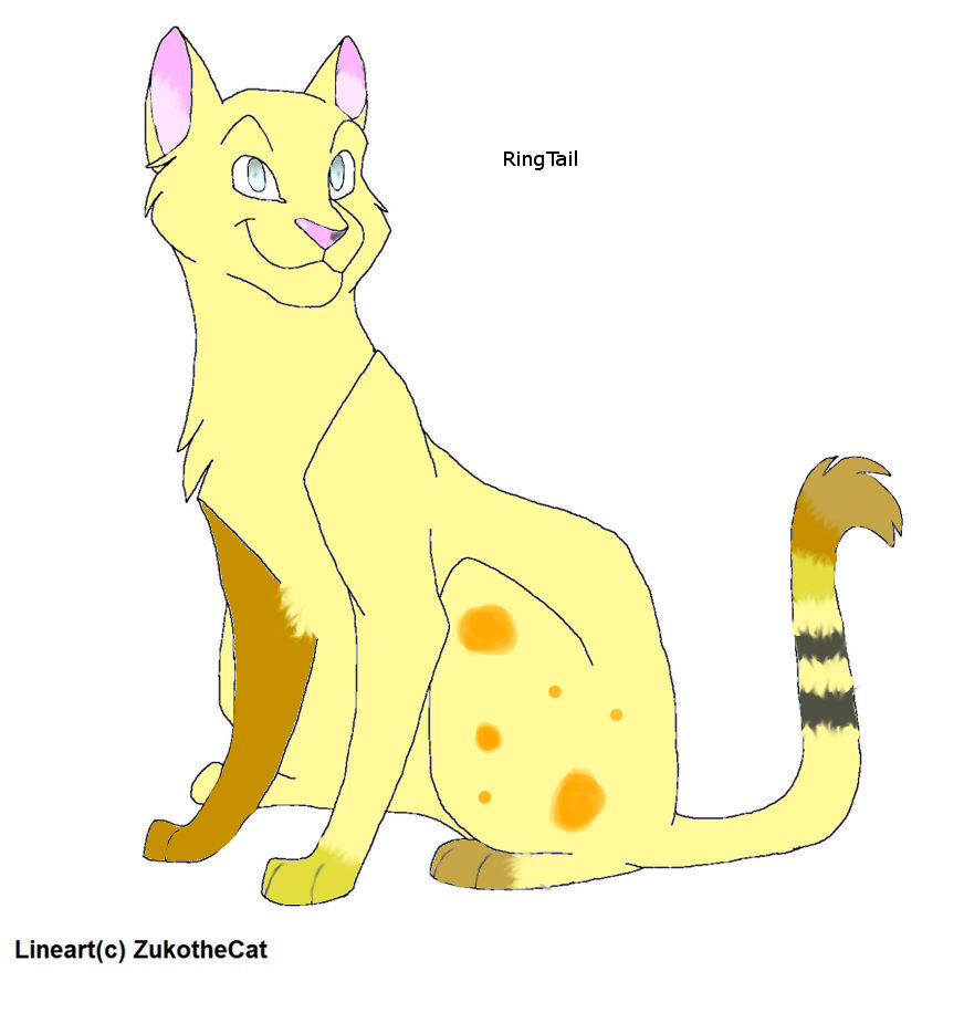 Deviantart Ringtail New OC. RIngTail. by xXMomoXx123456 on DeviantArt