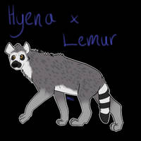 Hyena x Lemur