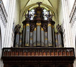 The Main Organ by FrankAndCarySTOCK