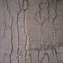 Wooden crack texture