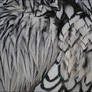 Feather texture