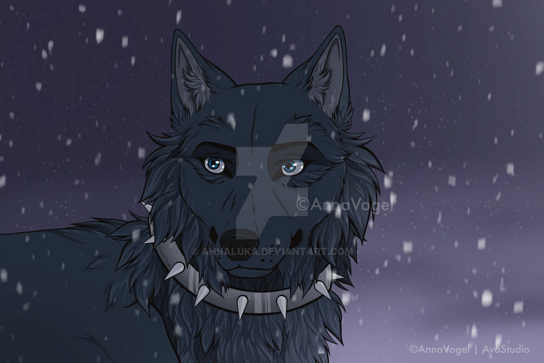 Blue - Wolf's Rain by AhnaLuka on DeviantArt