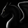 Dragon on Black