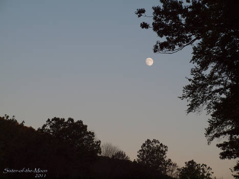 Beautiful Moon...