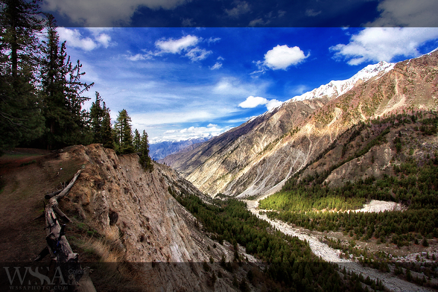 Fairy Meadows