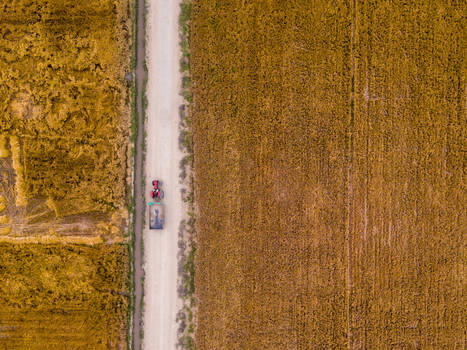 Punjab From Above