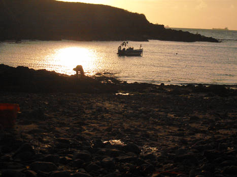 pebbled beach