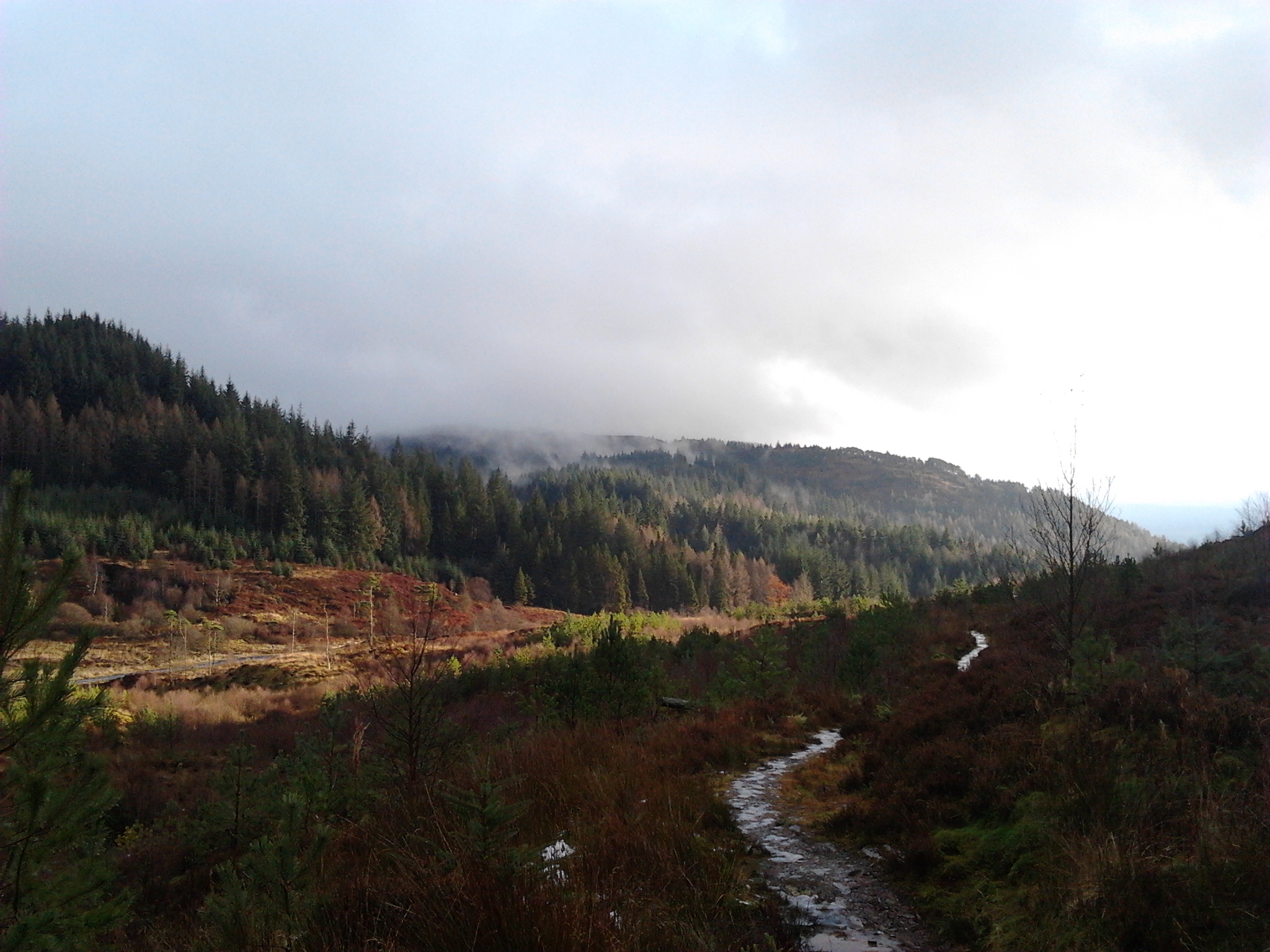 View from Hills above Aberfoyle