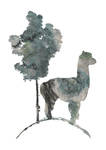 Balmer Alpacas by Pylo