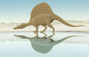 Spinosaurus aegyptiacus