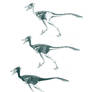 Troodon formosus feathered