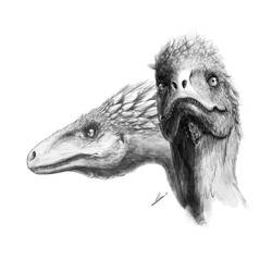 Utahraptor ostrommaysorum by TopGon