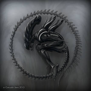 Xenomorph