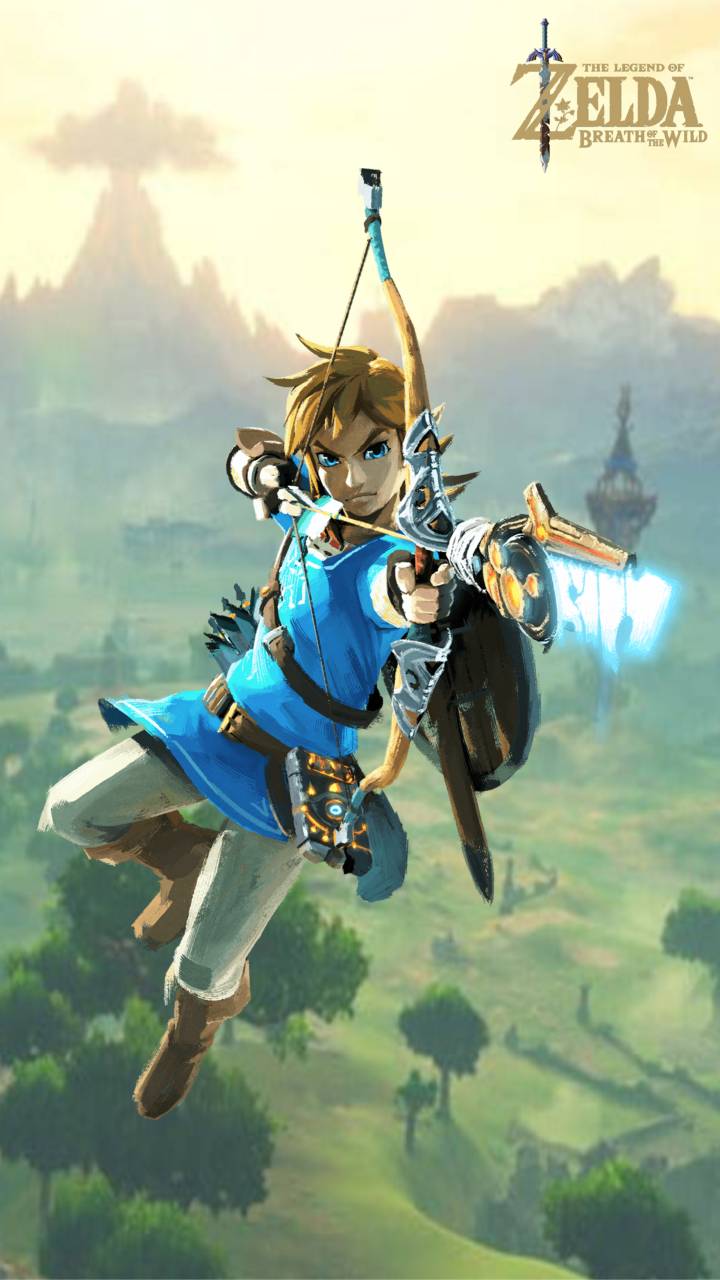 Link from Zelda Wallpaper by Sennexx on DeviantArt