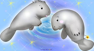 Manatee Love