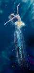 Jellyfish by candybg