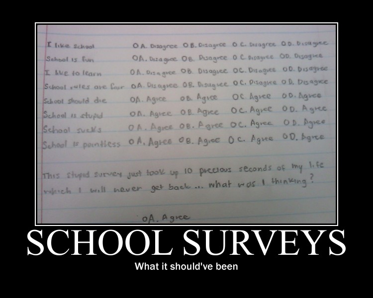 School Surveys -demotivation-