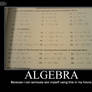 Algebra -demotivation-
