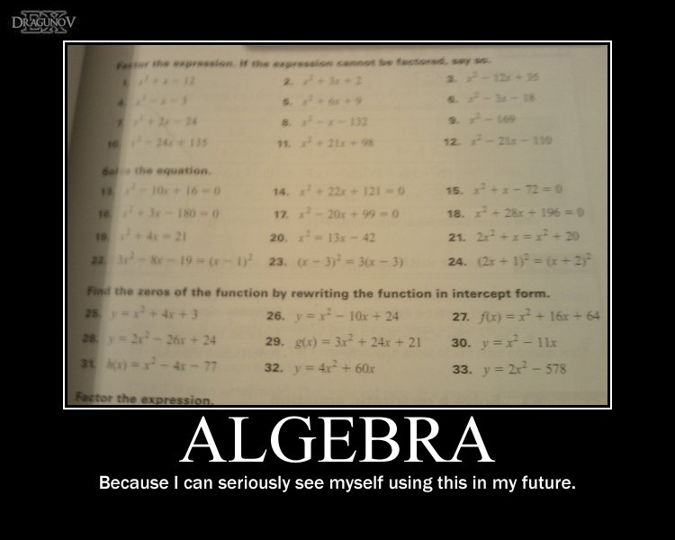 Algebra -demotivation- by Dragunov-EX
