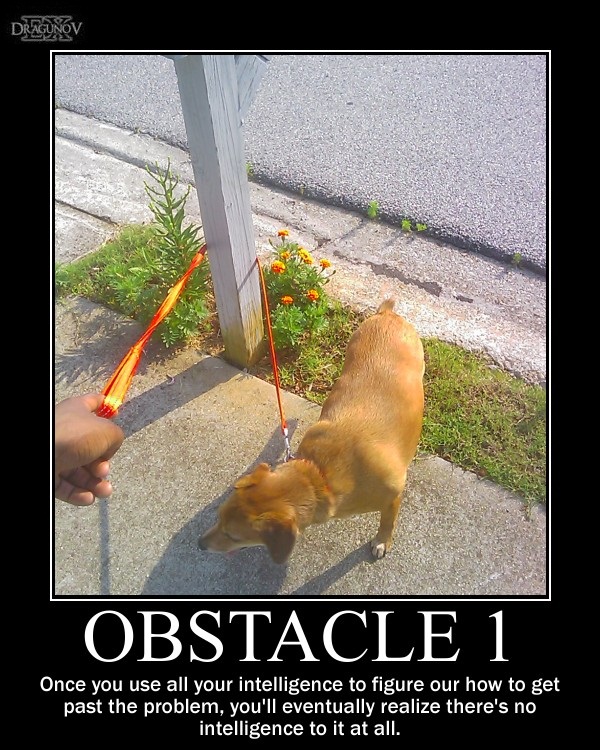 Obstacle 1 -demotivation-