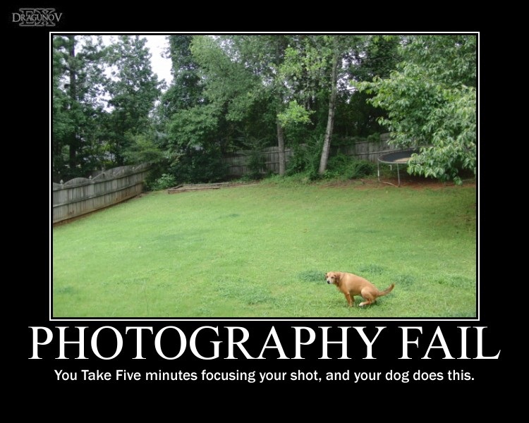 Photography Fail #2 -demotivation-