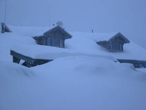 Mount Seymour Cafe