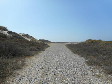 Cayeux's beach #1 (ma vie)