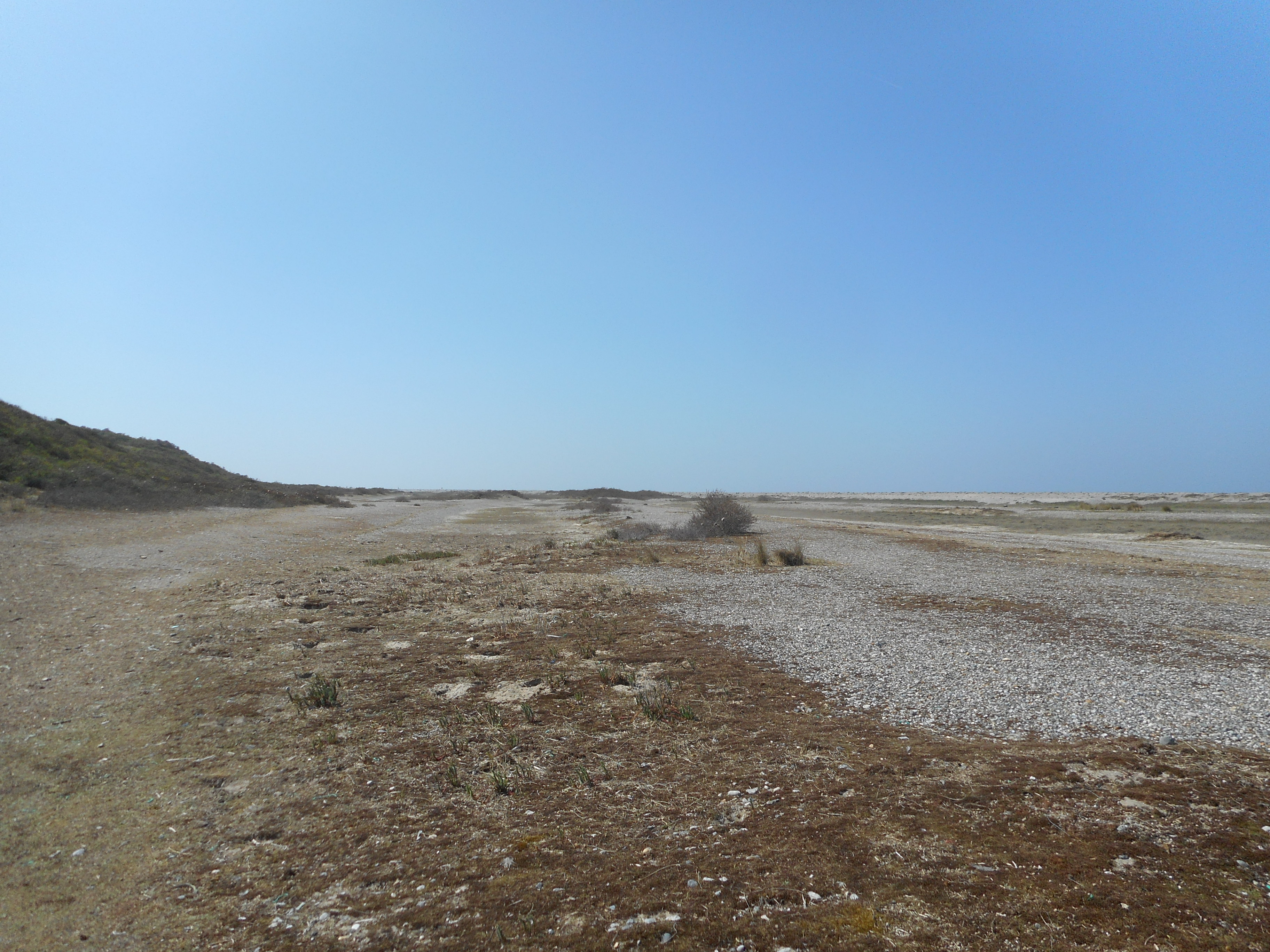 Cayeux's beach #3 (ma vie)