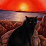 Pretinha (aka 'Rock Kitty')