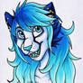 Art Fight - Joey (for DragonofCentaurus)