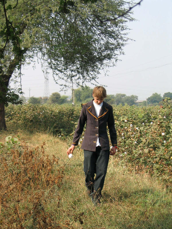 alone in a cotton field