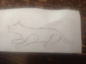 Wolf/Dog Sketch