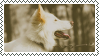 dog stamp 2