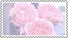 roses stamp