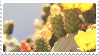 cactus stamp by bulletblend