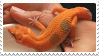 orange gecko