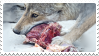 wolf + meat stamp