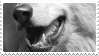 wolf stamp by bulletblend