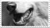 wolf stamp