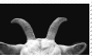 goat horns stamp