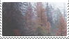 forest stamp