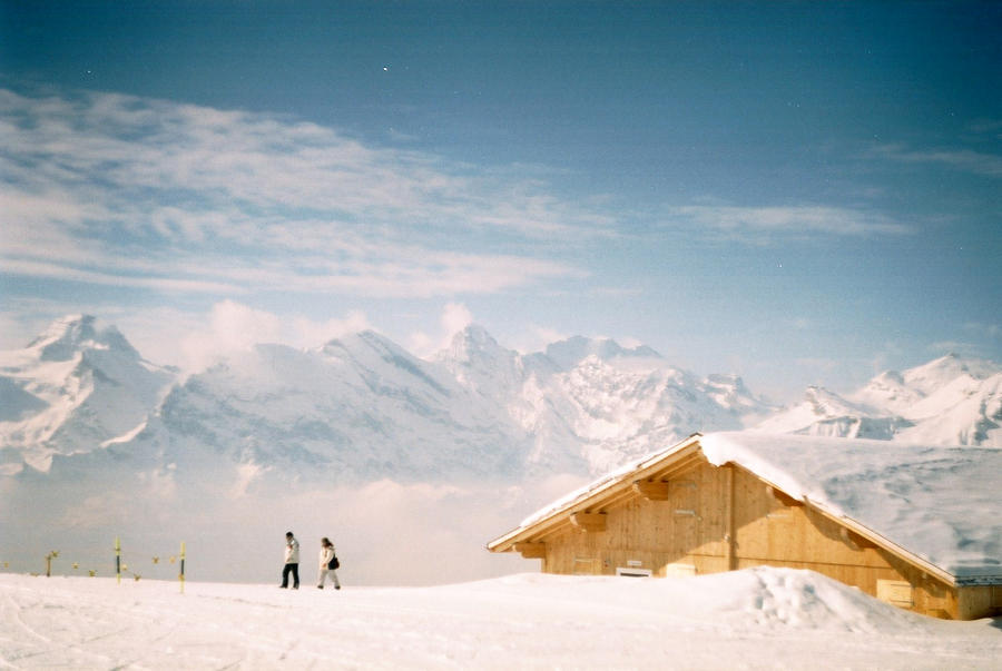 Bernese Winter, #1