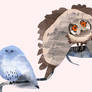 More owls